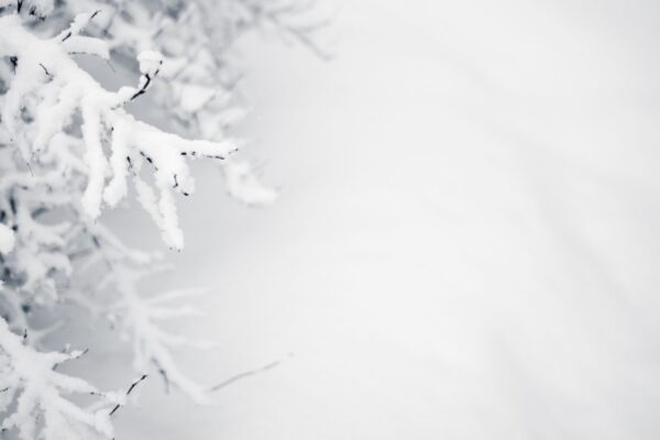 Snow Image