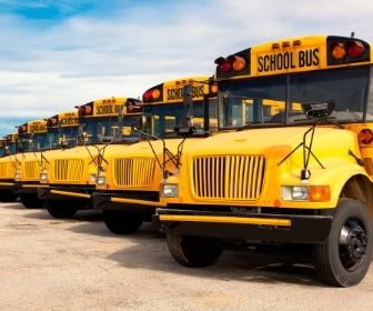 school bus School bus