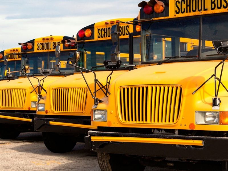 Parked buses Parked buses